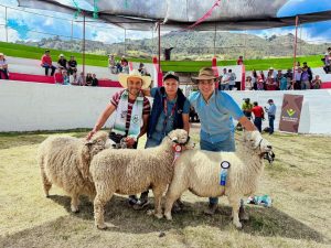 Lee más sobre el artículo PARTICIPACIÓN FERIA NACIONAL OVINA 2024.